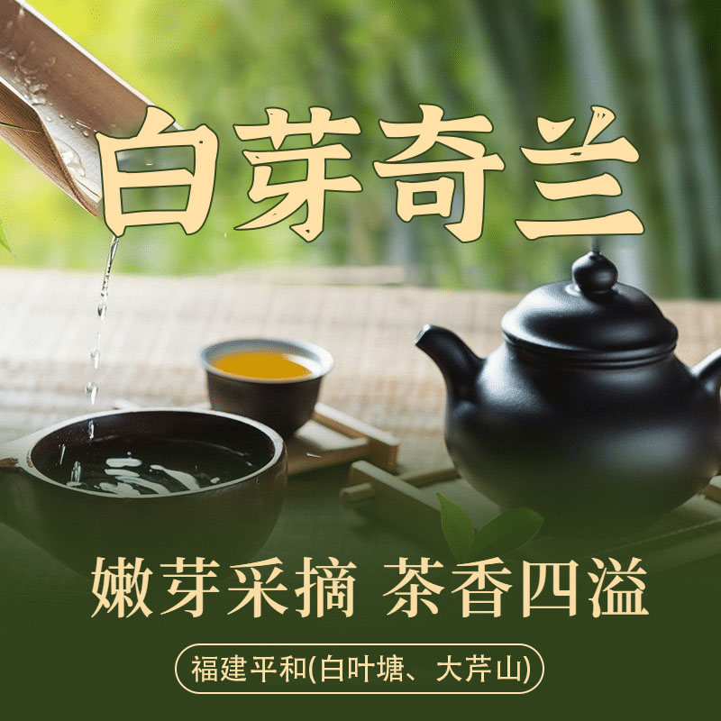 白芽奇兰茶汤色橙黄明亮